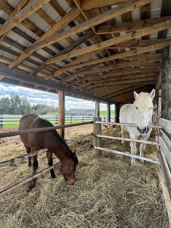 Hatfield Farm 3