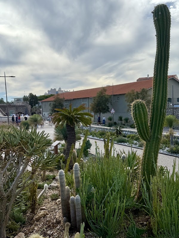 Poètes Garden 5