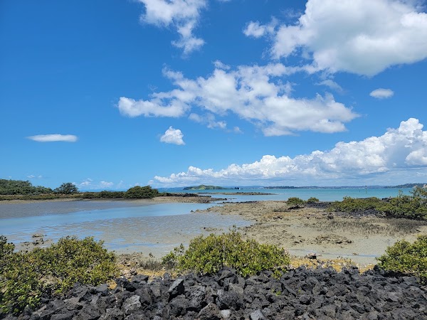 Auckland - Rangitoto Island