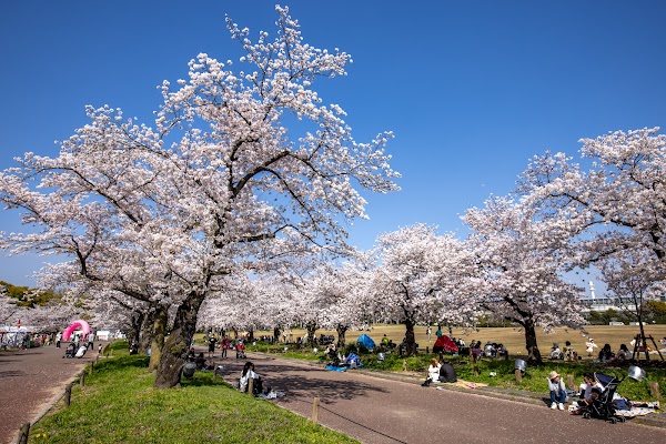 Expo '70 Commemorative Park 1