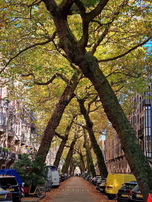 Lomanstraat