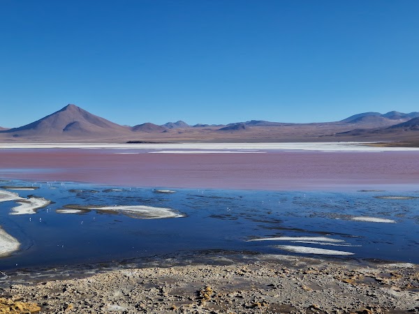 Altiplano 1