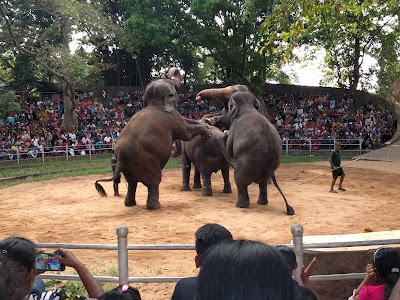 Dehiwala Zoological Gardens