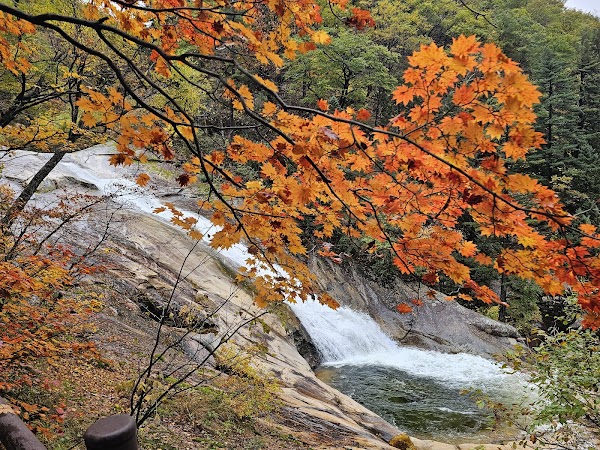 Sibiseonnyeotanggyegok 4