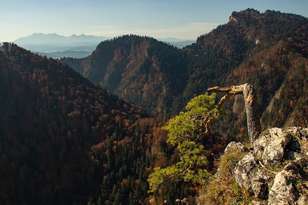 Pieniny National Park 3