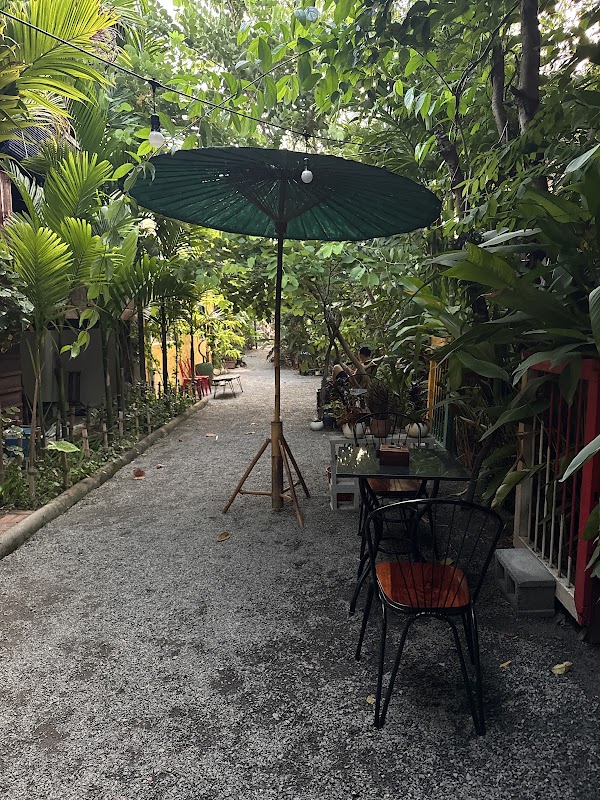 Areca coffee - អារិកាកាហ្វេ