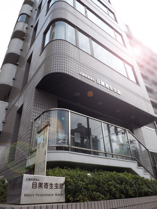 Meguro Parasitological Museum 1