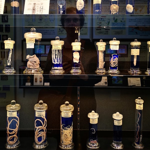 Meguro Parasitological Museum 5