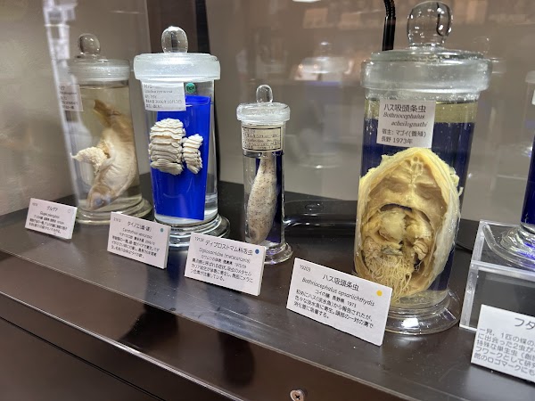Meguro Parasitological Museum 4