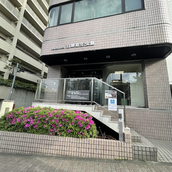 Meguro Parasitological Museum 3