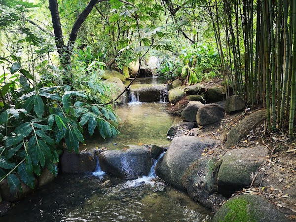 Garden of the Calouste Gulbenkian Foundation 4