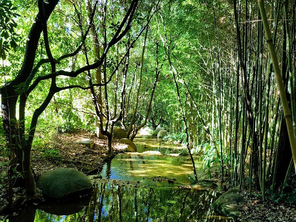 Garden of the Calouste Gulbenkian Foundation 3