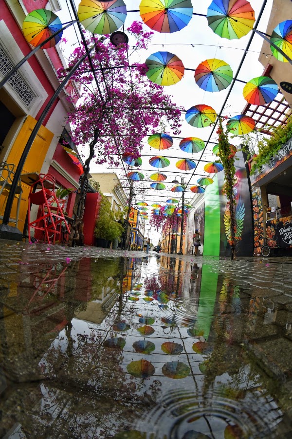 Paseo de Doña Blanca 5