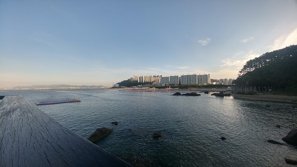 Saha-gu