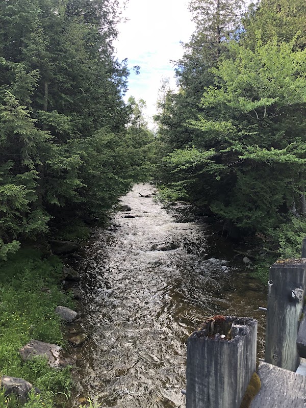 Flesherton 5
