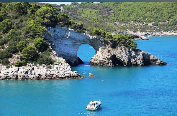 Italia 44