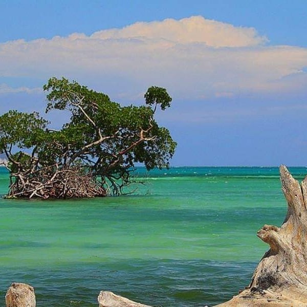 Barahona 2