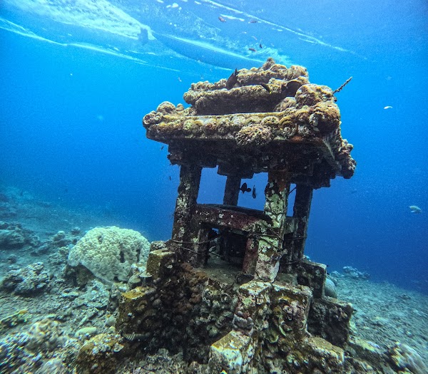 Jemeluk Bay snorkelling spot 3