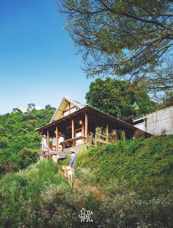 Mori Natural Farm