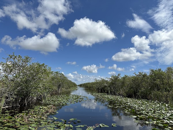 Everglades Airboat Tours Miami 5