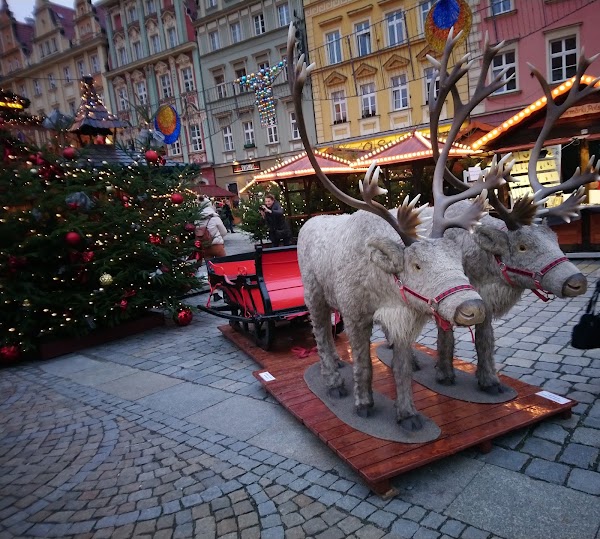 Stare Miasto 5