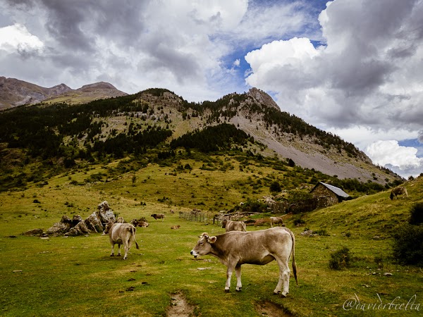 Llanos de La Larri 2