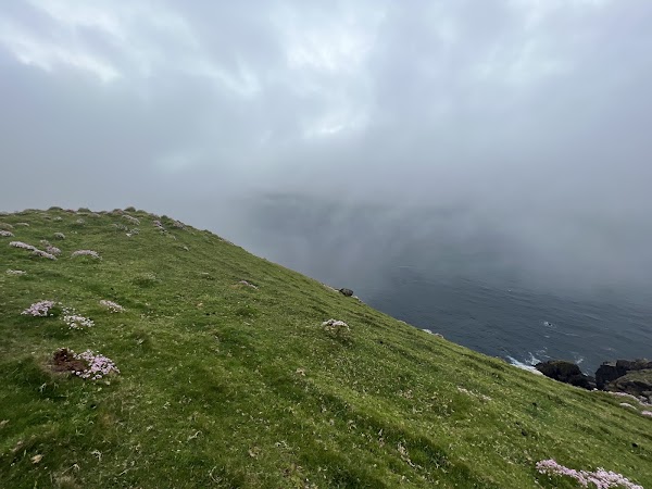 Blasket Islands 4