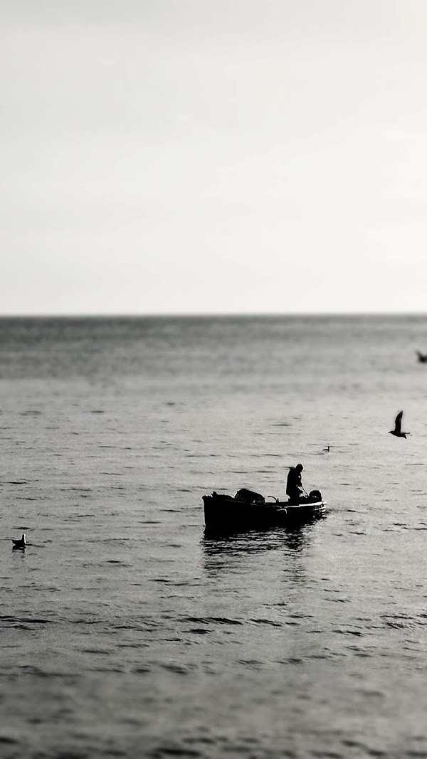 Dun Laoghaire-Rathdown 2