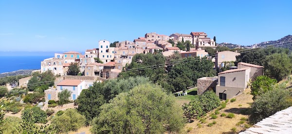 Pigna