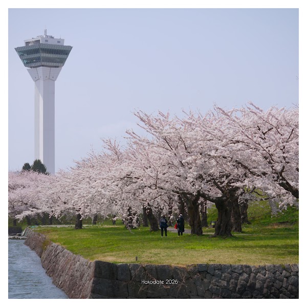 Goryōkaku 3
