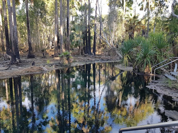 Bitter Springs 1
