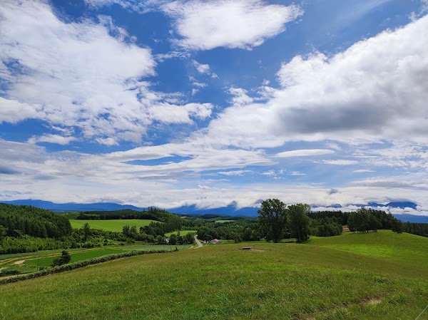 Biei Farm Co., Ltd. 3