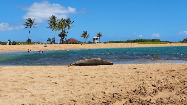 Salt Pond Beach Park