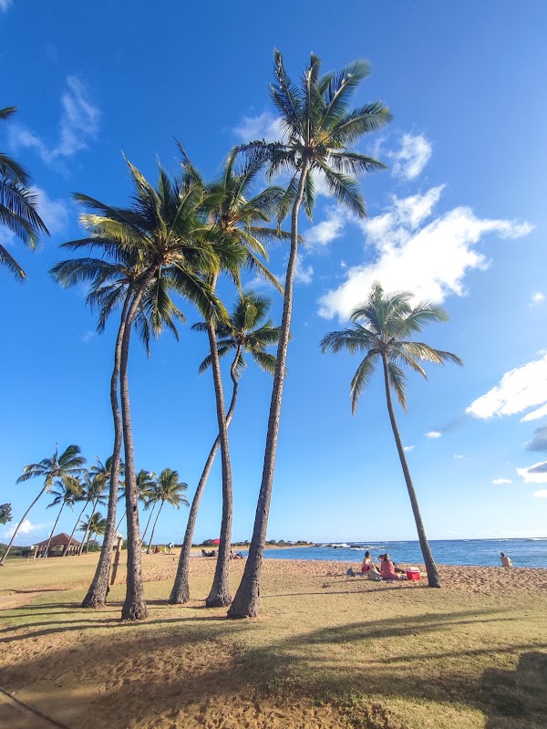Salt Pond Beach Park 5