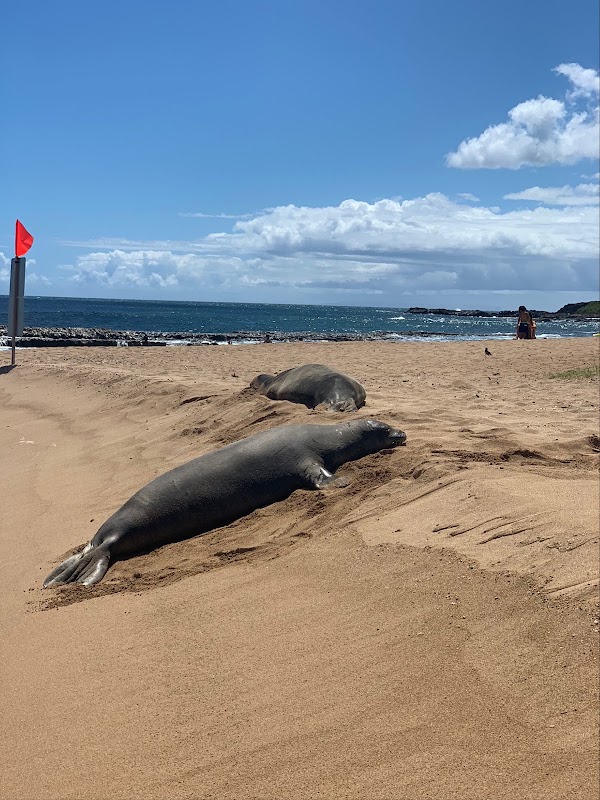 Salt Pond Beach Park 3