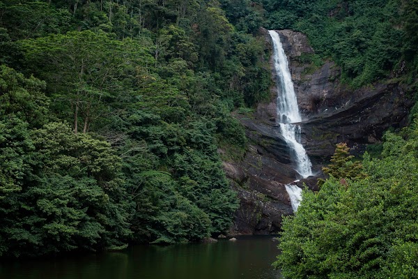 Moray Falls | මොරේ ඇල්ල