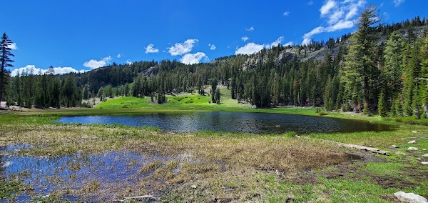 California 39