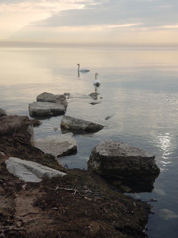 Burlington Beach 3
