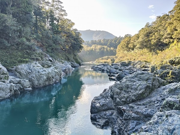 Pelorus Bridge Scenic Reserve