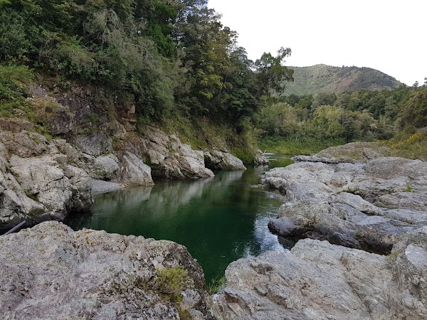 Pelorus Bridge Scenic Reserve 5