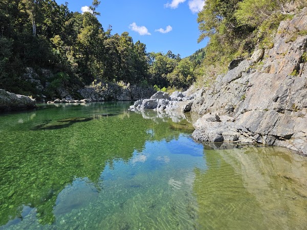 Pelorus Bridge Scenic Reserve 4