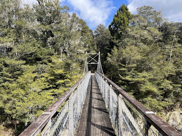 Pelorus Bridge Scenic Reserve 2