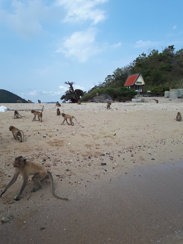 Koh Ped ( Koh Ling / Monkey Island ) 1