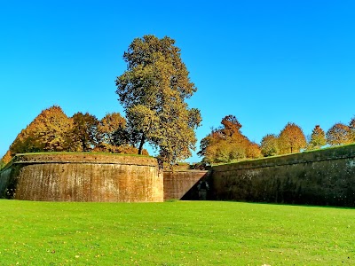Mura di Lucca