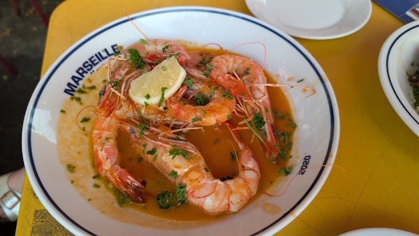 Café Marseille 4