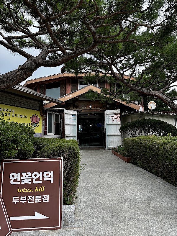 연꽃언덕 4