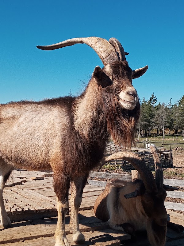 Ataraxy Farm 2