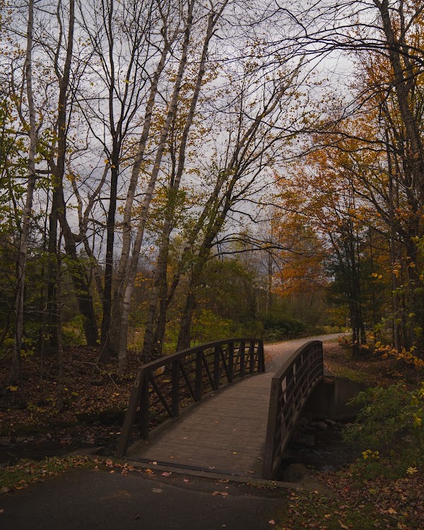Hikes 37