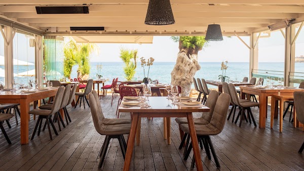 PRIMA PLORA Οrganic Restaurant & Wine Bar - Rethymno