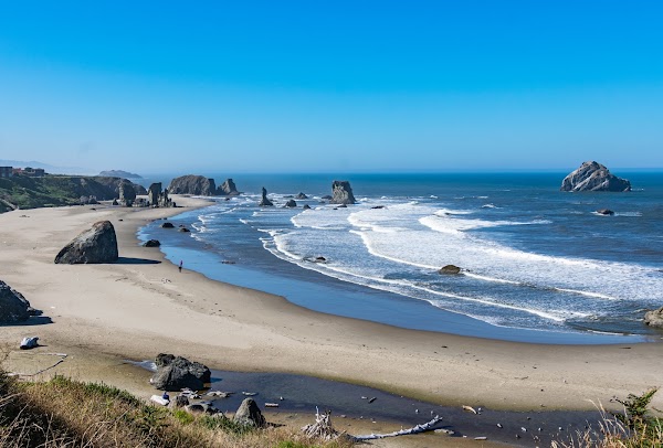 California 31